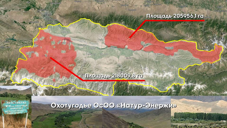 Таласта кылмыштуу топторго тиешеси бар аңчылык жерлер мамлекетке кайтарылды